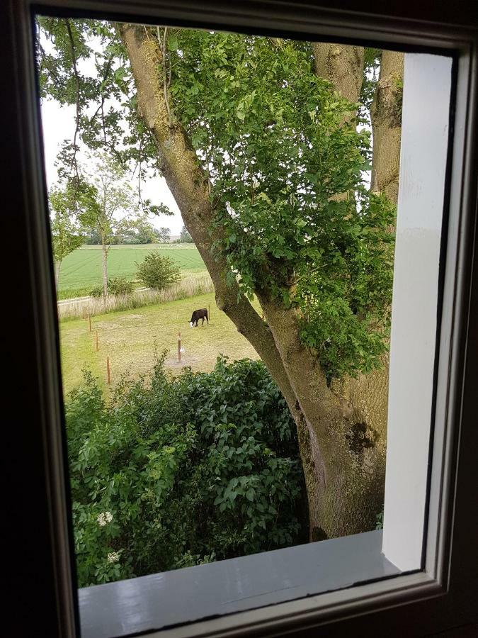 B&B Oldenbosch Holwierde Екстер'єр фото